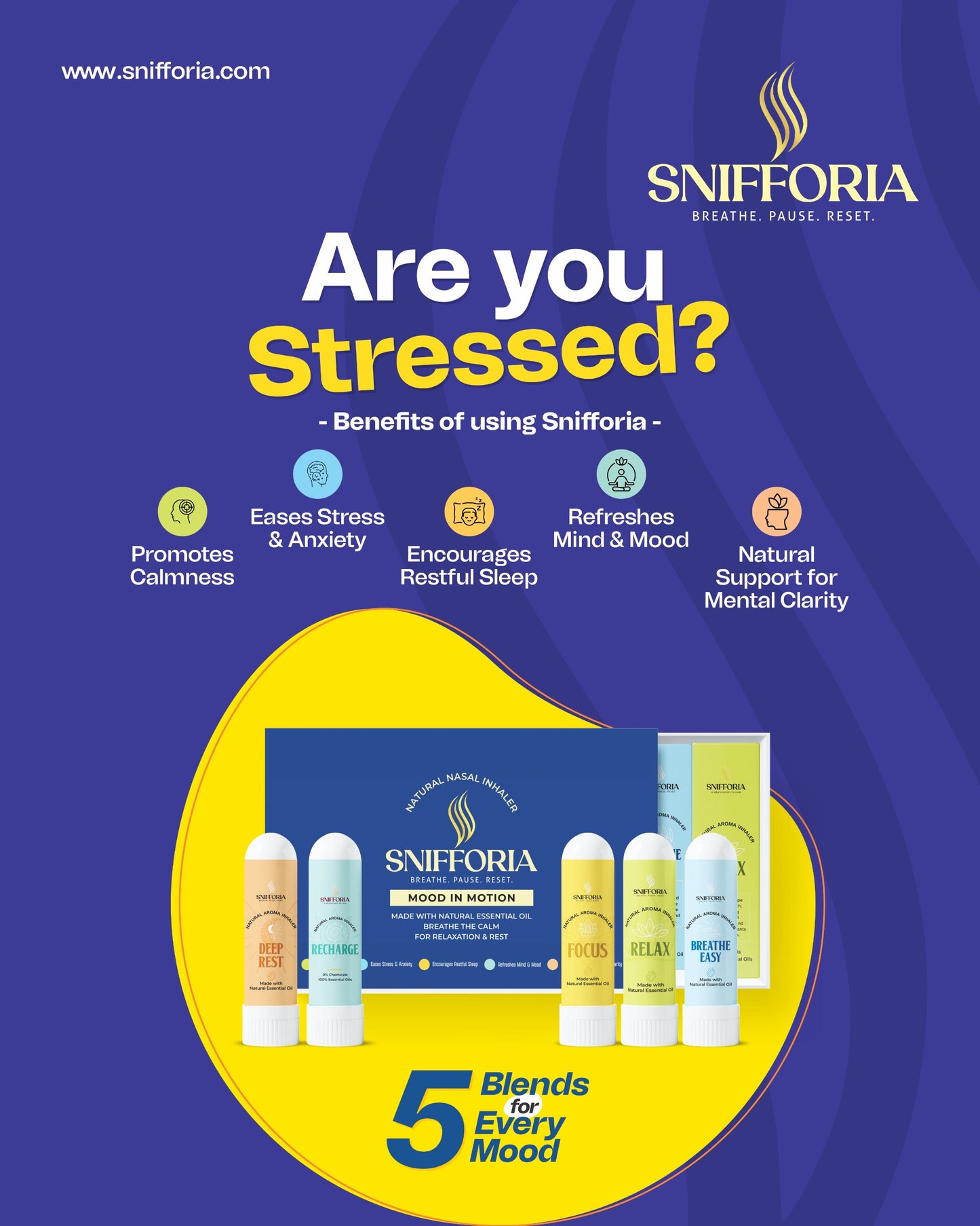 Snifforia Productivity Kit – 5 Mood In Motion Inhalers